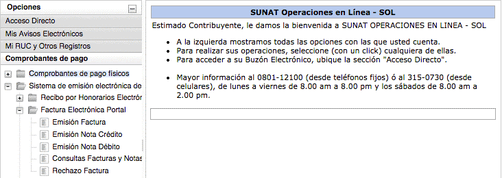 factura electronica,emitir factura
